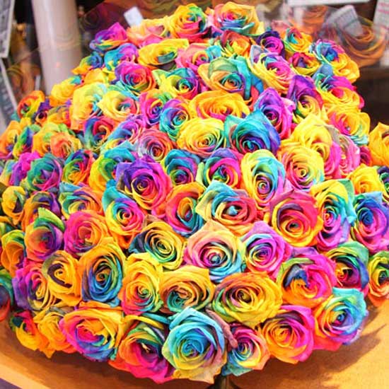 Букет радужных роз, букет из разноцветных роз